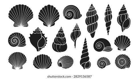 Detailed monochrome vector artwork of assorted seashells