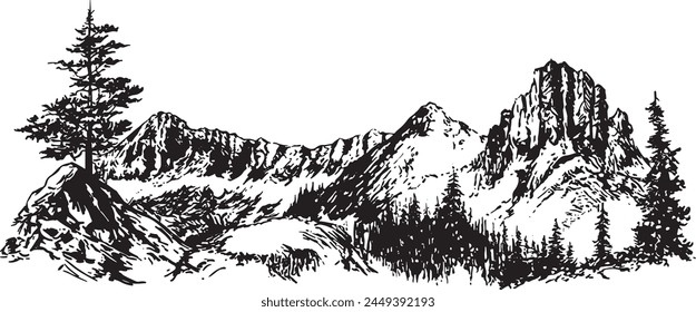 Detailed mountain landscape. Mountain panorama, pine trees and mountain silhouettes. Vector forest hiking background.