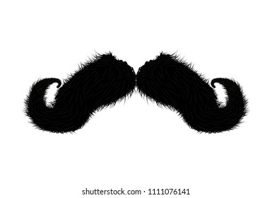 Detailed moustache vector illustration isolated on white