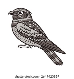 Ilustração Detalhada do Vetor de Pássaro Nightjar