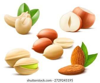 Detailed Nuts Set Include of Pistachio, Hazelnut, Almond, Peanut and Cashew isolated on white background. Healthy cooking ingredient. a source of protein. Realistic 3d Vector illustration