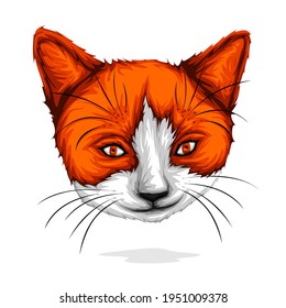 Vector de cabeza de gato naranja detallado aislado en fondo blanco