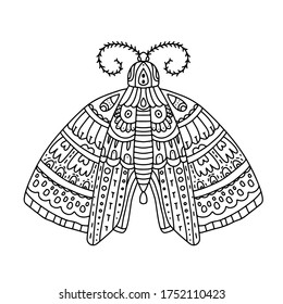 Detailed ornamental sketch of a moth,Hand drawn zentangle for adult anti stress. Coloring page with high details isolated on white background. Zentangle pattern for relax and meditation.