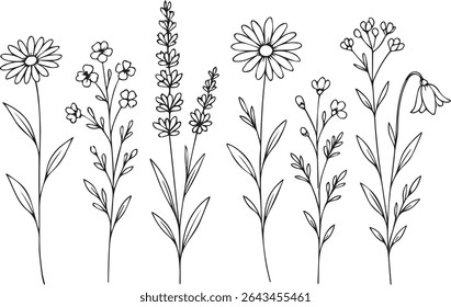 Detailed outline floral set featuring intricate botanical drawings on a stark black backdrop. Ideal for diverse creative applications.