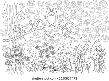 Detailed outline illustration of an owl on a branch surrounded by abstract patterns and botanical elements for coloring.