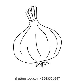 Detailed outline of an onion showcasing its layered structure and unique shape in a minimalist style