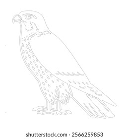 Detailed outline of a peregrine falcon in a perched position, featuring sharp beak and feathers, ideal for coloring, crafting, or educational materials