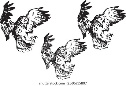 Detailed owl bird drawing Line Art black and white silhouette realistic cartoon clipart design wild animal doodle graphic contour sketch outline set flying bird hand drawn illustration element sticke
