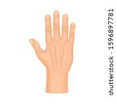 Detailed Palm Hand Gesture Vector Illustrated on White Background Element
