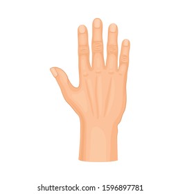 Detailed Palm Hand Gesture Vector Illustrated on White Background Element