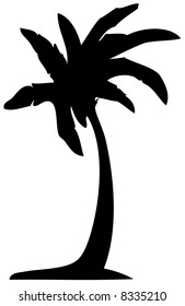 Árbol de palmera detallado aislado en fondo blanco