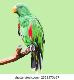 Detailed Parrot Bird Illustration in vector art style
