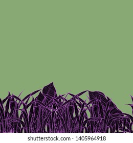 Detailed pattern illustration of black grass with a pink outline on a green background