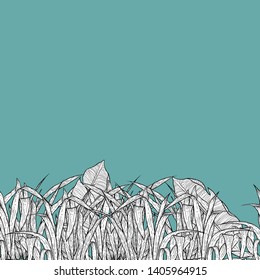 Detailed pattern illustration of white grass on a turquoise background