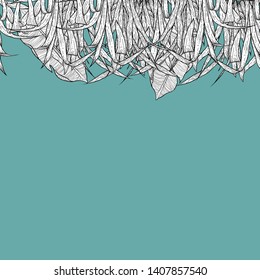 Detailed pattern illustration of white grass on a turquoise background