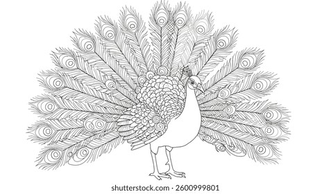 A Detailed Peacock Standing With Its Tail Slightly Fanned Out