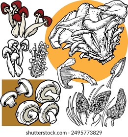 detailed pen drawing of various mushrooms, isolated on solid coloured background