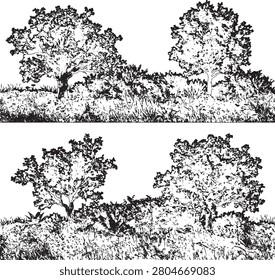 Detailed pen and ink rendering of a vibrant natural scene showcasing diverse vegetation. Ideal for editorial and design projects.