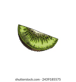 Detailed pencil sketch of a slice of kiwi, vector illustration in color. A hand-drawn piece of kiwi on an isolated background, conveying an organic essence through the play of light and shadow.