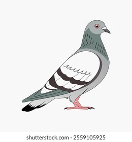 A detailed pigeon vector, ideal for urban-inspired artwork, showcasing intricate feather details and a modern design, perfect for creative projects and city-themed illustrations.