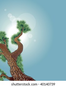 Ilustración detallada del vector del pino.