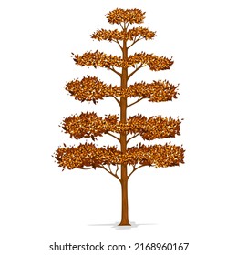 Detailed Pine Trees Vector Isolated on White Background