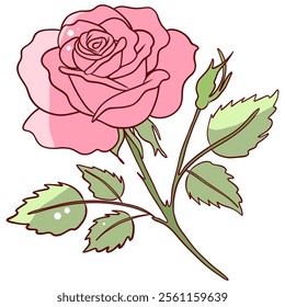 Detailed Pink Rose with Leaves and Bud