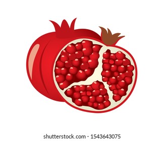 Detailed Pomegranate with the Slice Illustration