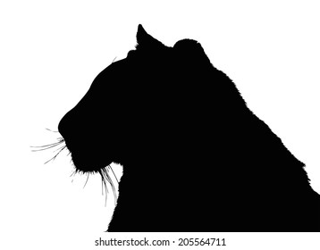 Detailed Portrait Silhouette of Large Tiger Face 