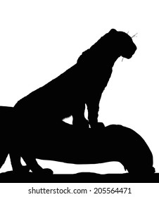 Detailed Portrait Silhouette of Young Leopard on Branch