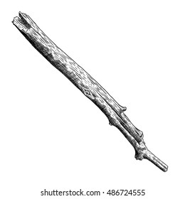 Detailed and precise ink drawing wood twig, isolated on white forest object, natural tree branch, stick, hand drawn driftwood forest floor pickups. Rustic design, classic drawing element. Vector. 