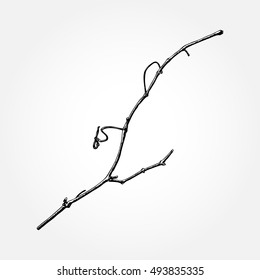 Detailed and precise ink drawing wood twig, isolated on white forest object, natural tree branch, stick, hand drawn driftwood forest floor pickups. Rustic design, classic drawing element. Vector. 