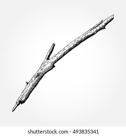 Detailed and precise ink drawing wood twig, isolated on white forest object, natural tree branch, stick, hand drawn driftwood forest floor pickups. Rustic design, classic drawing element. Vector. 