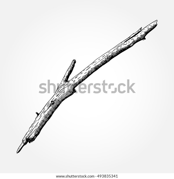 Detailed Precise Ink Drawing Wood Twig Stock Vector Royalty