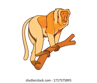 Detailed Proboscis Monkey with Calm Looking Gesture Illustration