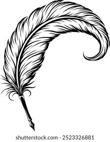 Detailed quill pen with a feather. Tattoo, intricate design and decor element. Highly detailed and accurate lines for print or engraving