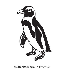 Detailed, realistic and anatomic stencil of a penguin isolated on white background.