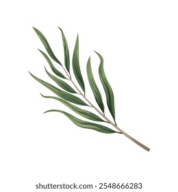 A detailed and realistic digital illustration of a green olive branch with lush leaves, perfect for botanical designs, natural themes, and eco-friendly projects.