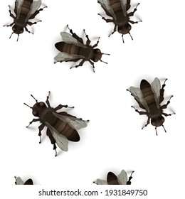 A lot of detailed realistic flies, insects on white seamless pattern