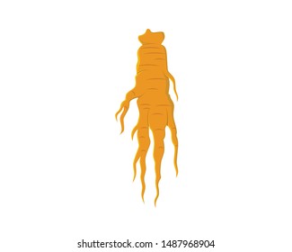 Detailed and Realistic Ginseng Root Illustration