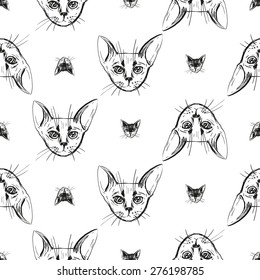Detailed realistic hand drawn abyssinian cat portrait. Vector illustration. Set of isolated drawing kitten heads and faces some breeds. Black pattern on white background