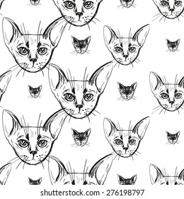 Detailed realistic hand drawn abyssinian cat portrait. Vector illustration. Set of isolated drawing kitten heads and faces some breeds. Black pattern on white background