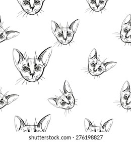 Detailed realistic hand drawn abyssinian cat portrait. Vector illustration. Set of isolated drawing kitten heads and faces some breeds. Black pattern on white background