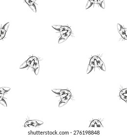 Detailed realistic hand drawn abyssinian cat portrait. Vector illustration. Set of isolated drawing kitten heads and faces some breeds. Black pattern on white background