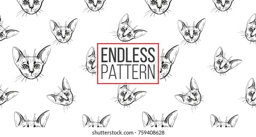 Detailed realistic hand drawn abyssinian cat portrait. Vector illustration. Black pattern on white background