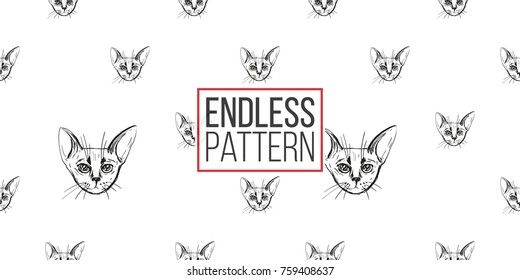 Detailed realistic hand drawn abyssinian cat portrait. Vector illustration. Black pattern on white background