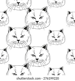 Detailed realistic hand drawn british cat portrait. Vector illustration. Set of isolated drawing kitten heads and faces some breeds. Black pattern on white background