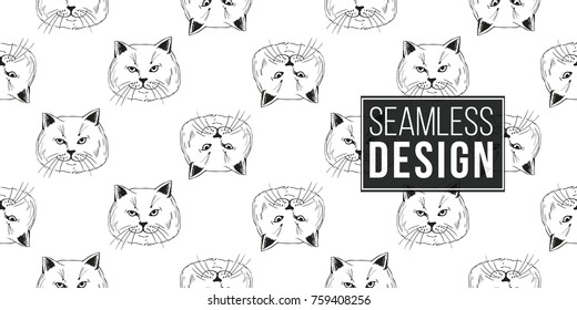 Detailed realistic hand drawn british cat portrait. Vector illustration. Black pattern on white background