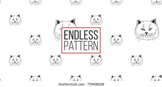 Detailed realistic hand drawn british cat portrait. Vector illustration. Black pattern on white background
