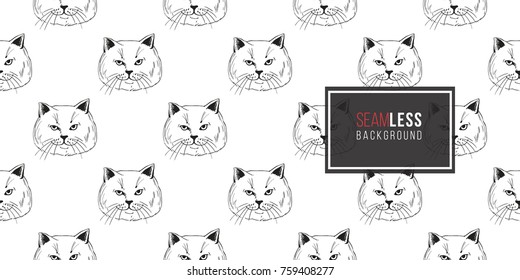 Detailed realistic hand drawn british cat portrait. Vector illustration. Black pattern on white background